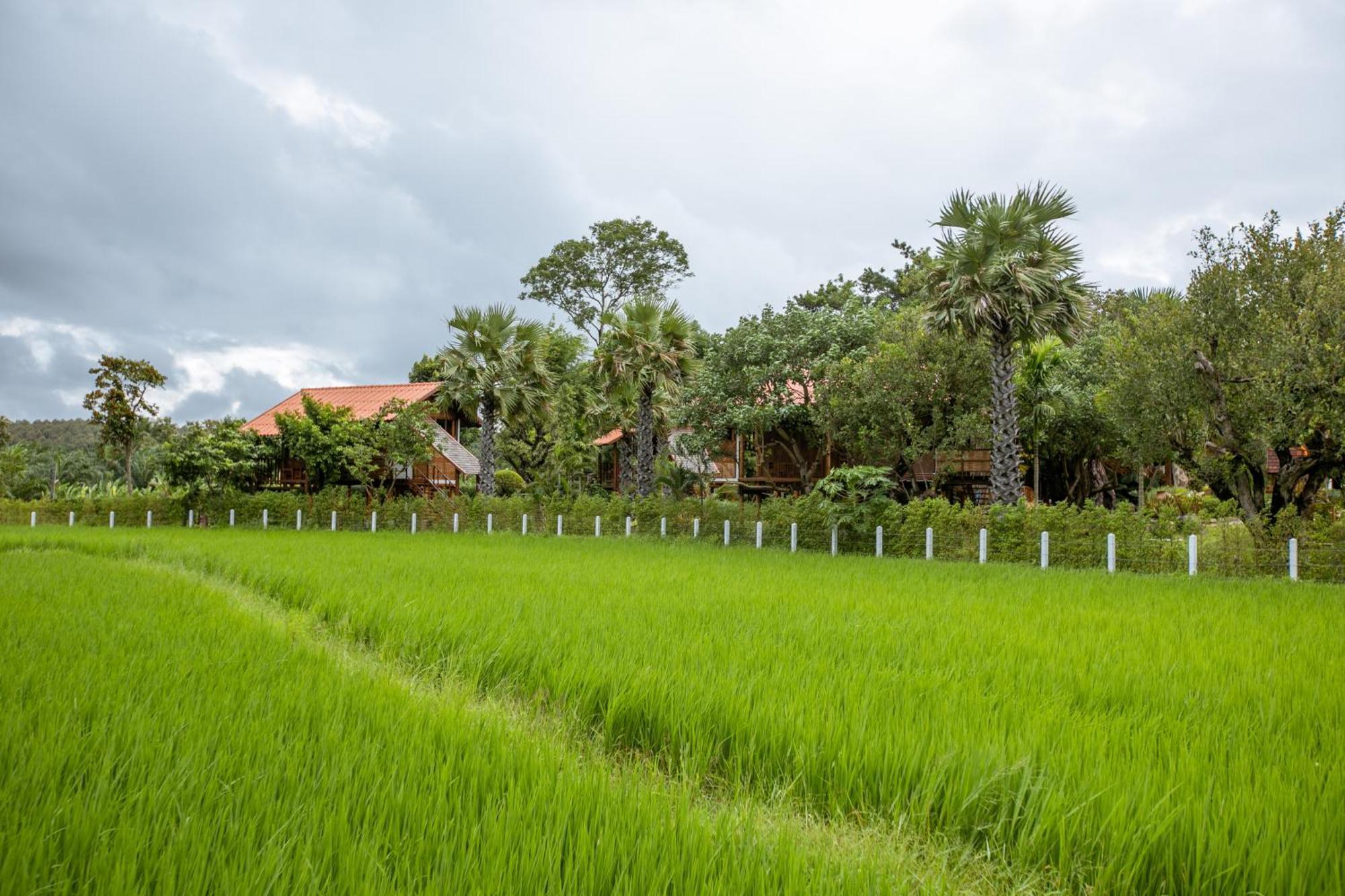 Saksila Resort Nan Buitenkant foto
